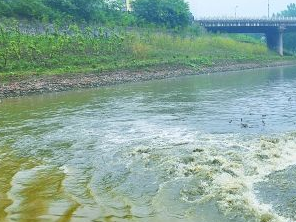 涿州污水清运多少钱